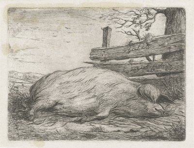 Liggande vildsvin av Jacobus Cornelis Gaal