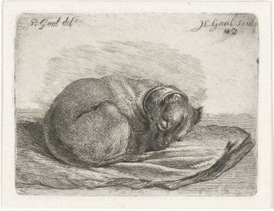 Sovande hund, liggande på en filt av Jacobus Cornelis Gaal