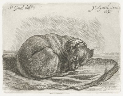 Sovande hund, liggande på en filt av Jacobus Cornelis Gaal