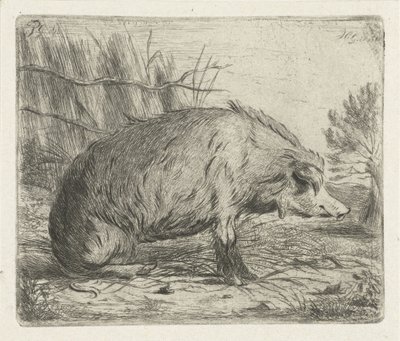 Sittande vildsvin av Jacobus Cornelis Gaal