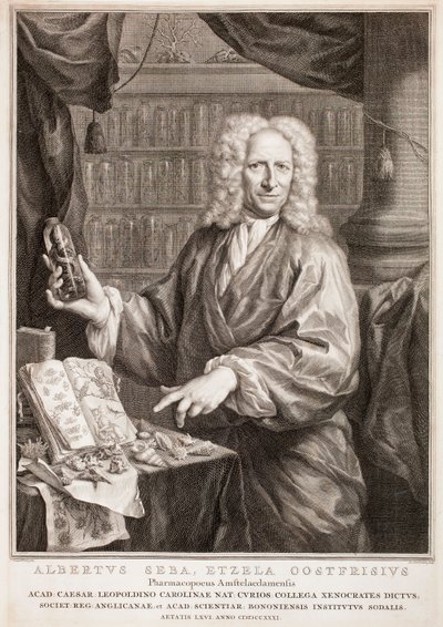 Porträtt av Albertus Seba, efter Jan Maurits Quinkhard av Jacobus Houbraken