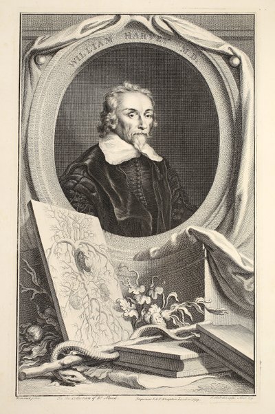 Porträtt av William Harvey, illustration från "Heads of Illustrious Persons of Great Britain", pub. av Knapton, London 1742 av Jacobus Houbraken