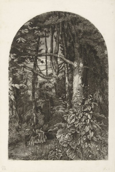 Skog med bäck av Jacobus Ludovicus Cornet