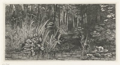 Bosbeekje av Jacobus Ludovicus Cornet