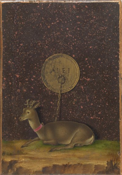 Porträtt av Alvise Contarini(); (a tergo) En tjudrad råbock av Jacometto Veneziano