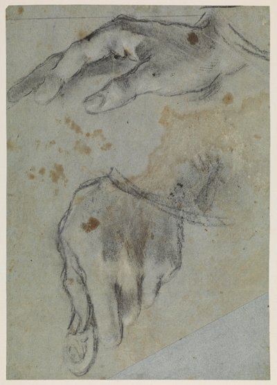 Studier av händer, recto, 1500-talet av Jacopo Bassano