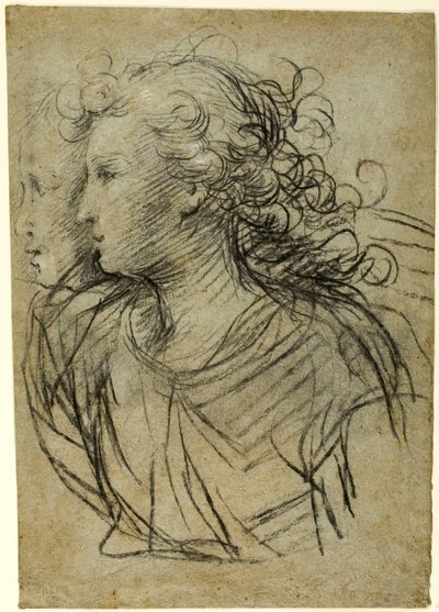 Halvlängdsvy av kvinna i profil till vänster (recto); Halvlängdsvy av figur i trekvartsprofil (verso) av Jacopo Confortini
