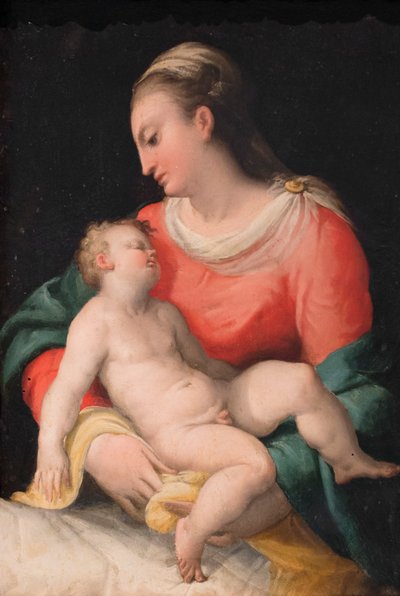 Madonna med barn, ca 1564 (olja på trä) av Jacopo Ianguidi (1544-c.1573) Bertoia