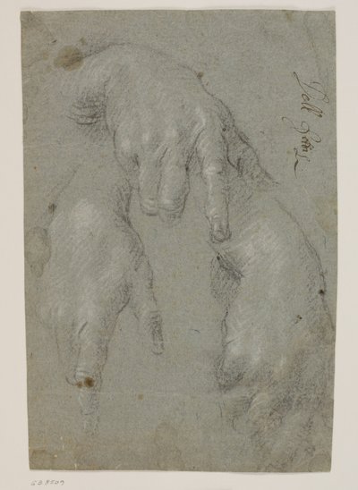 Tre studier av en högerhand av Jacopo Palma