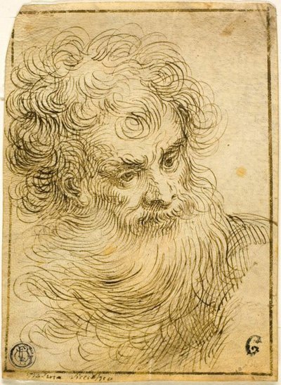 Head of Bearded Old Man (recto); Dekorativ skiss av blommor och löv (verso) av Jacopo Palma il Giovane