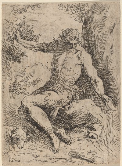 Sankt Johannes Döparen av Jacopo Palma il Giovane