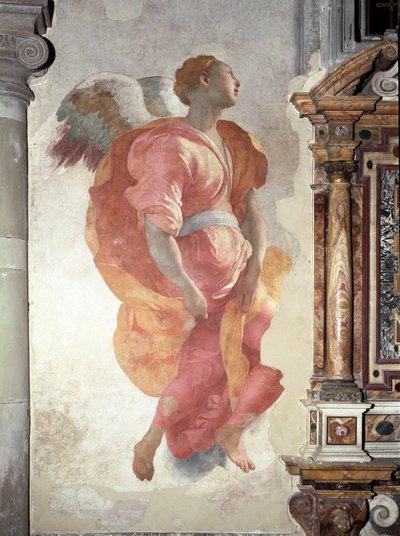 Tillkännagivande. Detalj av ängeln - Fresco av Jacopo Pontormo
