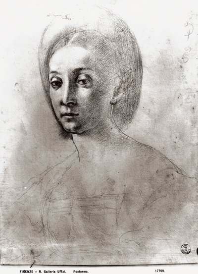 Head of a Woman (krita på papper) av Jacopo Pontormo
