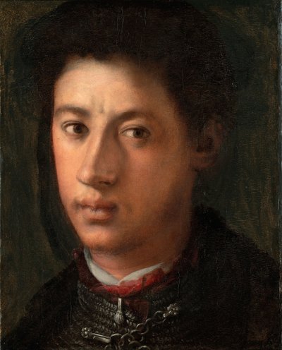 Porträtt av Alessandro de Medici 1510-1537, 1534-1535 av Jacopo Pontormo