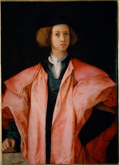 Porträtt av en ung man förmodligen Alessandro de Medicis - olja på panel av Jacopo Pontormo