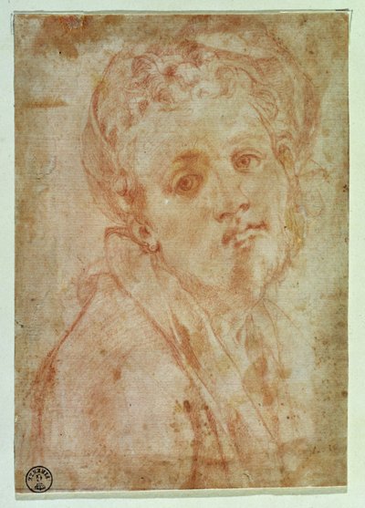 Självporträtt (röd krita på papper) av Jacopo Pontormo