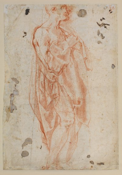 Studera för Saint Jerome av Jacopo Pontormo
