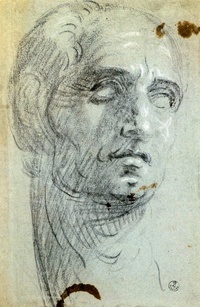 Manligt huvud av Jacopo Robusti känd som Tintoretto (1518-1594), teckning av Jacopo Robusti Tintoretto