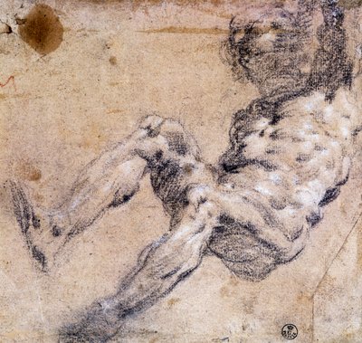 Studie av manlig naken av Jacopo Robusti Tintoretto