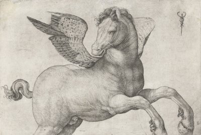 Pegasus, 1509-16 av Jacopo de Barbari