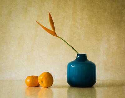 Tropisk blomning och apelsiner av Jacqueline Hammer