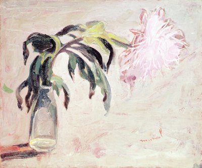 En krysantemum i en flaska (olja på duk) av Jacqueline Marval