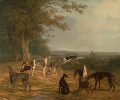 Nio vinthundar i ett landskap av Jacques-Laurent Agasse