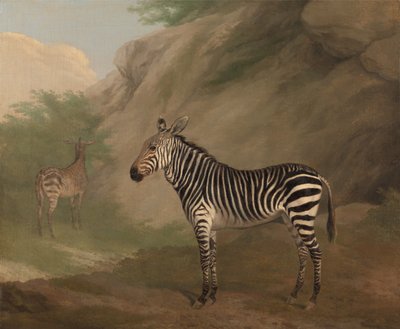 Zebra av Jacques-Laurent Agasse