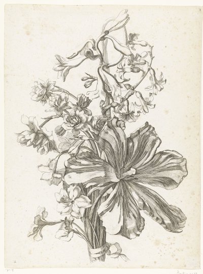 Bukett med en tulpan, en hyacint, brodiaea och påskliljor Diverses Fleurs mises en Boucquets (serietitel) av Jacques Bailly (I)