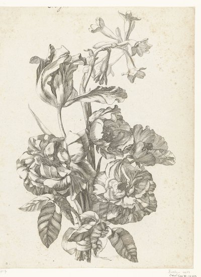 Bukett med pioner, en tulpan och en brodiaea Diverse Fleurs mises en Boucquets (serietitel) av Jacques Bailly (I)