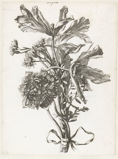 Bukett med bleka tulpaner, en anemon och odödligheter Diverse Fleurs mises en Boucquets (serietitel) av Jacques Bailly (I)