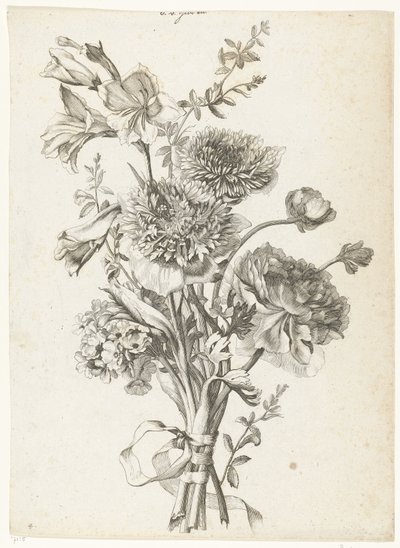 Bukett av anemoner Bukett med anemoner, en pion, stamblommor och gladiolus Diverse Fleurs mises en Boucquets (serietitel) av Jacques Bailly (I)