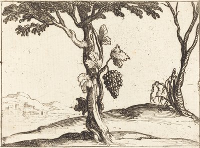 Druvklase av Jacques Callot