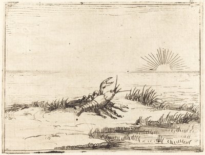 Kräftor tittar på solen av Jacques Callot