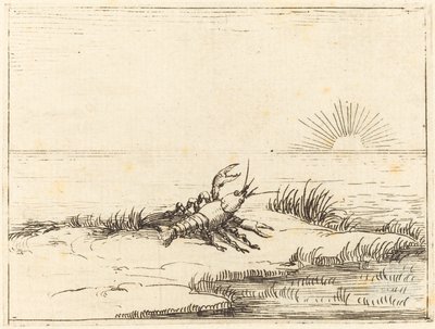 Kräftor tittar på solen av Jacques Callot