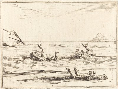 Delfiner och krokodiler av Jacques Callot