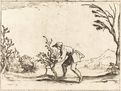 Man skär ett balsam-träd av Jacques Callot