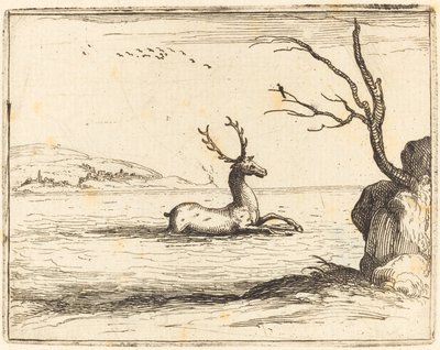 Stag i vattnet av Jacques Callot