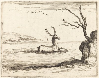 Stag i vattnet av Jacques Callot