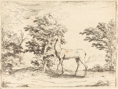 Doe. av Jacques Callot