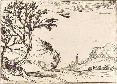 Turtle Duva flyger i öknen av Jacques Callot
