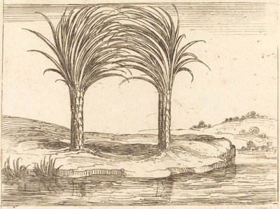 Två palmer. av Jacques Callot