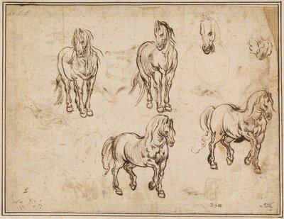 Studier av hästar [recto] av Jacques Callot after Antonio Tempesta