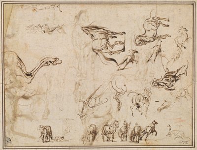 Studier av hästar [verso] av Jacques Callot after Antonio Tempesta
