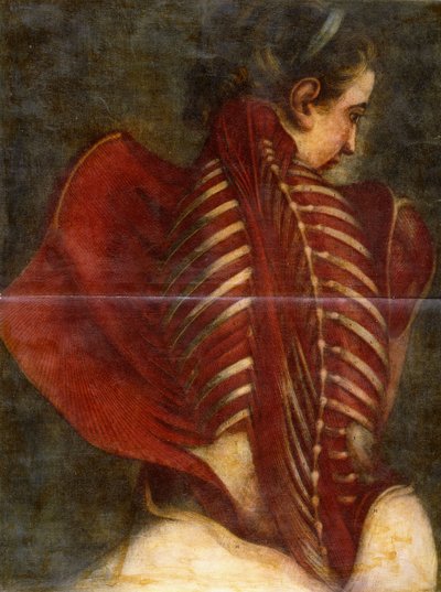 The Flayed Angel, c.1745 av Jacques Fabien Gautier dAgoty