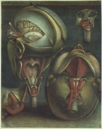 Två vyer av huvudet, 1746. av Jacques Fabien Gautier dAgoty