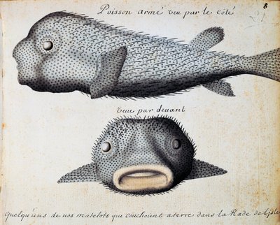 swedish av Jacques Gouin de Beauchesne