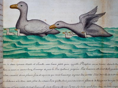 Ankor som heter Ploplos, Magellansundet, akvarell från loggbok av Jacques Gouin de Beauchesne (1652-1730), kapten på Compagnie royale de la Mer du Sud, från 1698 till 1701, Frankrike av Jacques Gouin de Beauchesne