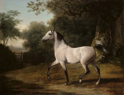 En grå arabisk hingst i ett skogslandskap av Jacques Laurent Agasse