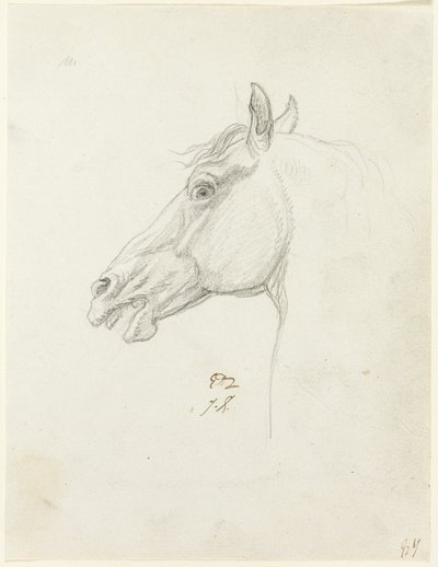 Hästens huvud av Jacques Louis David